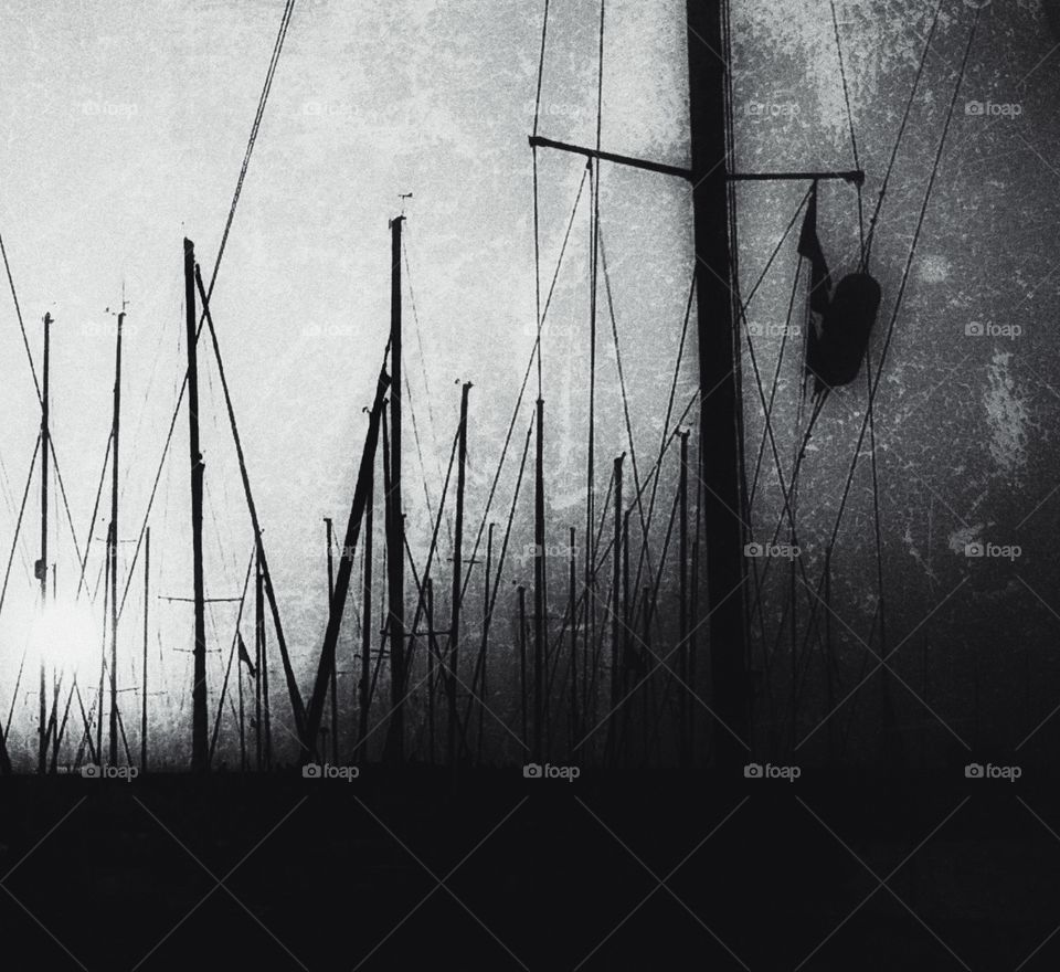 sailboats in the harbour at night