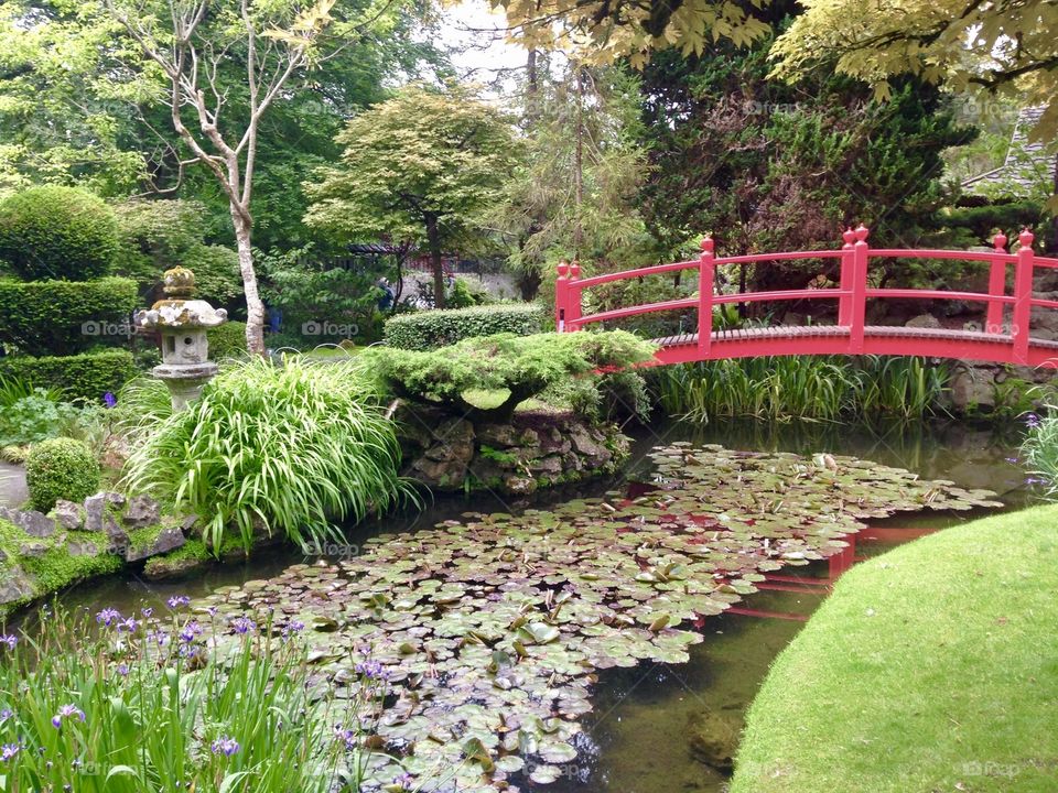 Japanese Botanical Garden