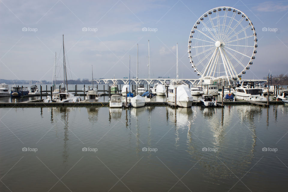 on the Harbour