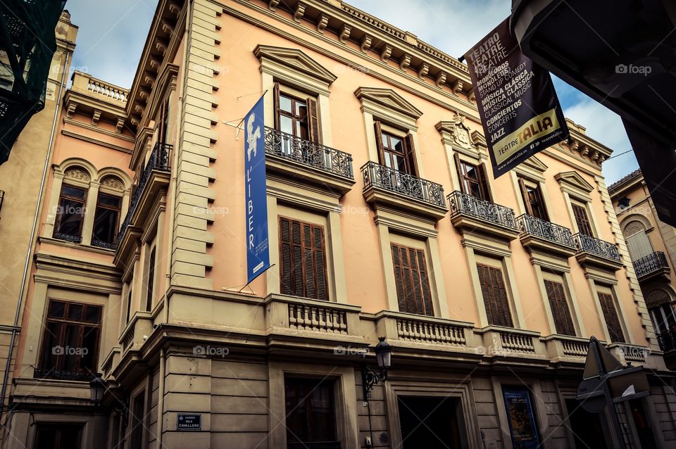 Palacio de los Marqueses de Malferit, calle Caballeros 20 (Valencia - Spain)