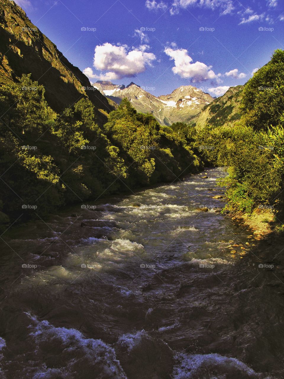 French Alps 