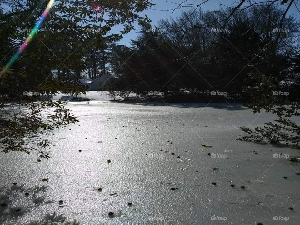 Frozen Lake
Kinston, North Carolina
Jan.4,2018
