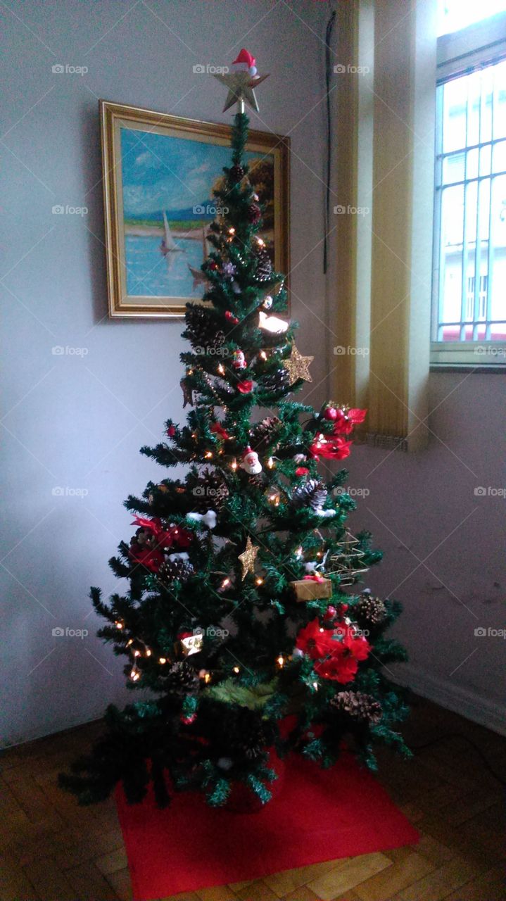 Christmas, Winter, Christmas Tree, Interior Design, No Person