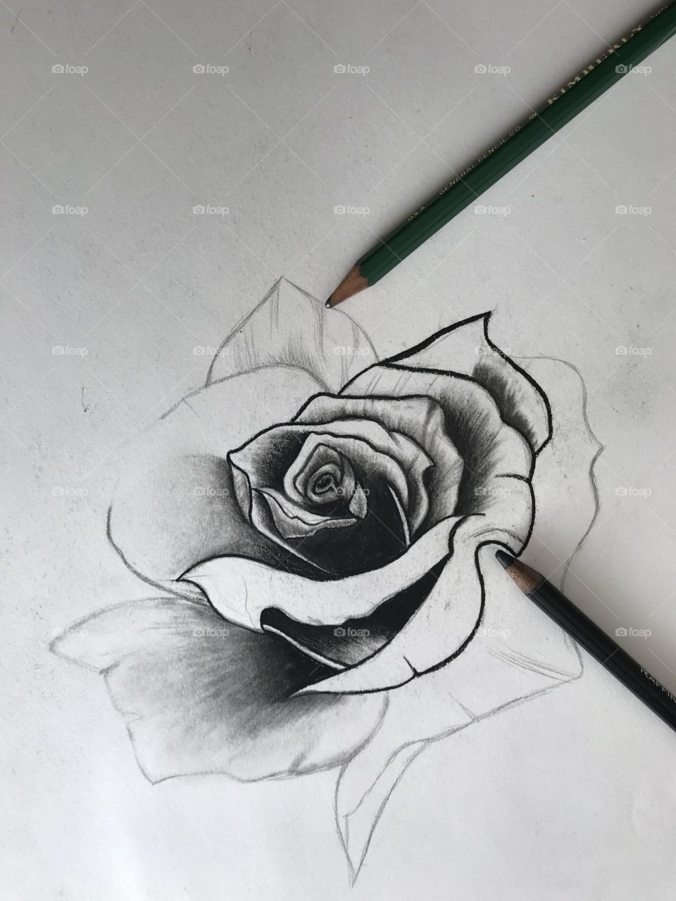 Drawing A Floral Piece 