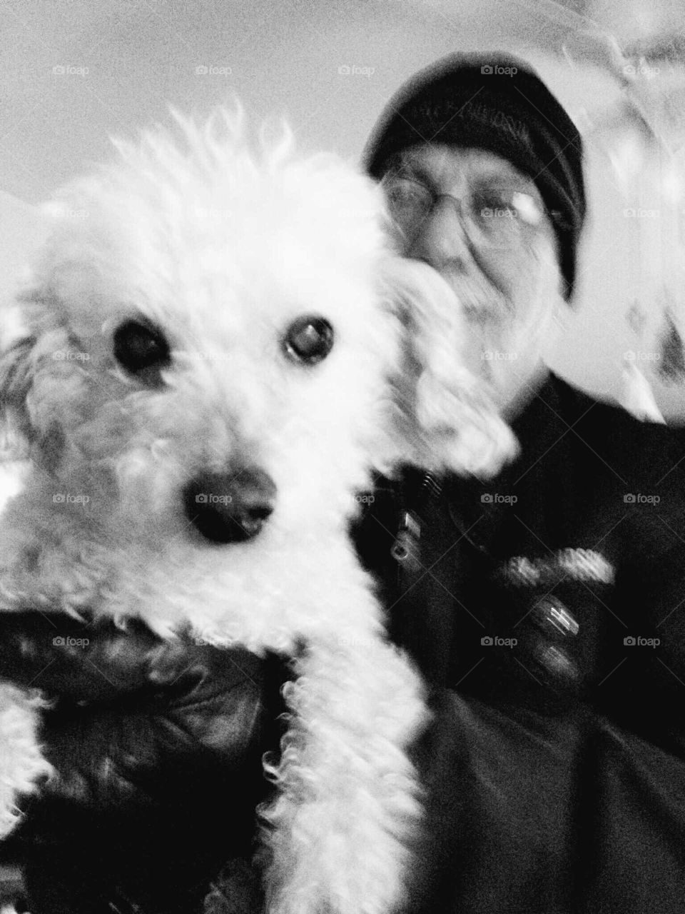 Poodle held by owner, going to groomer. B&W pic.