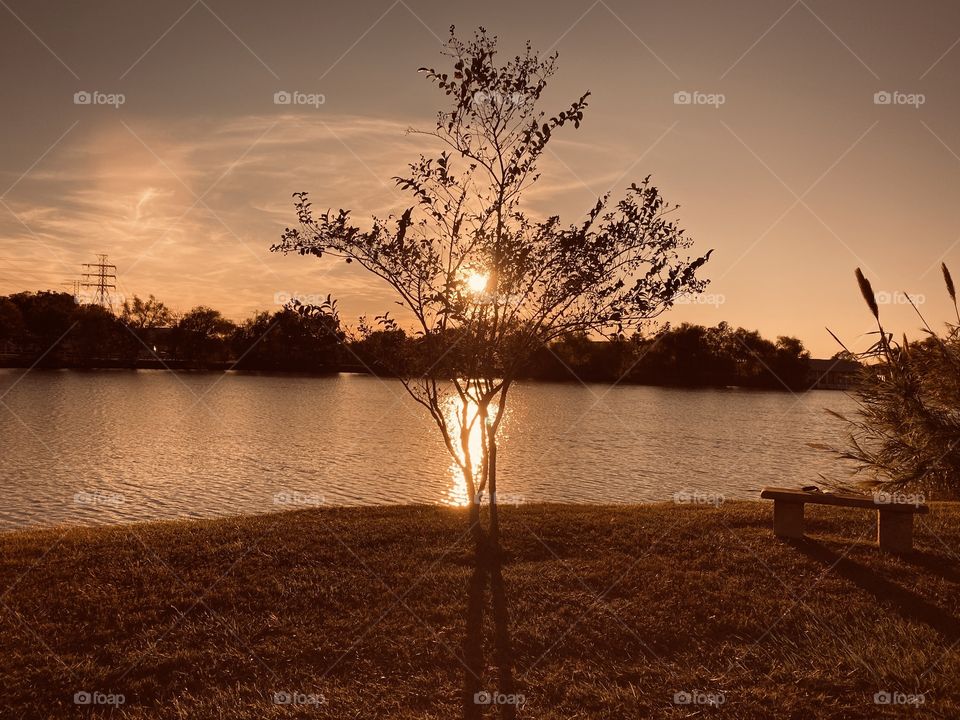 Sunset well into the evening. Reflection of the Sun’s Ray trailing along the water with it’s intensity of the event. 