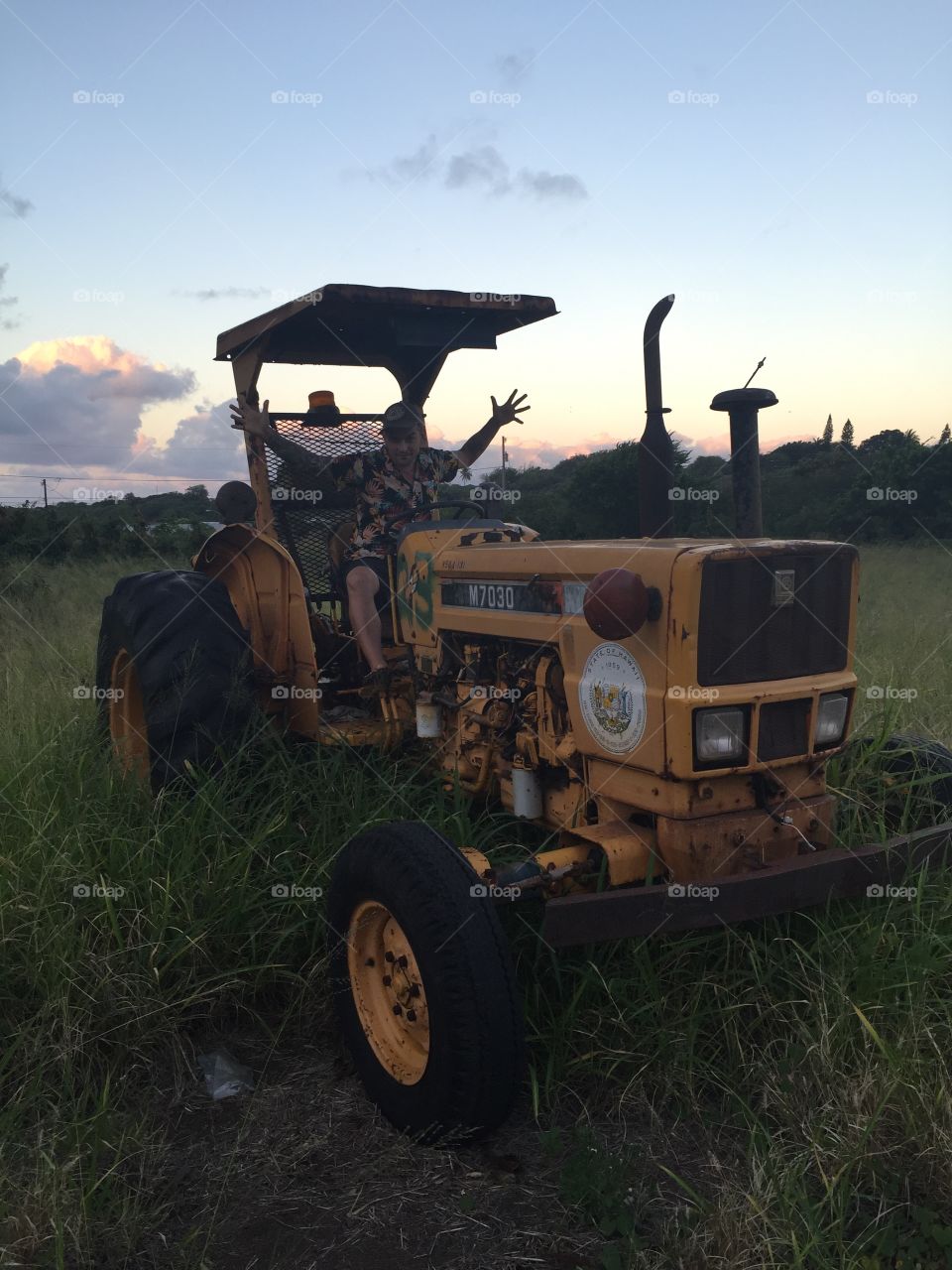 Tractor, Vehicle, Agriculture, Farm, Cropland