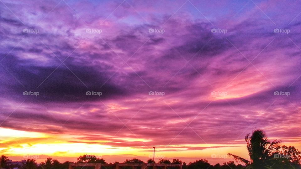 gorgeous pink magenta sunset