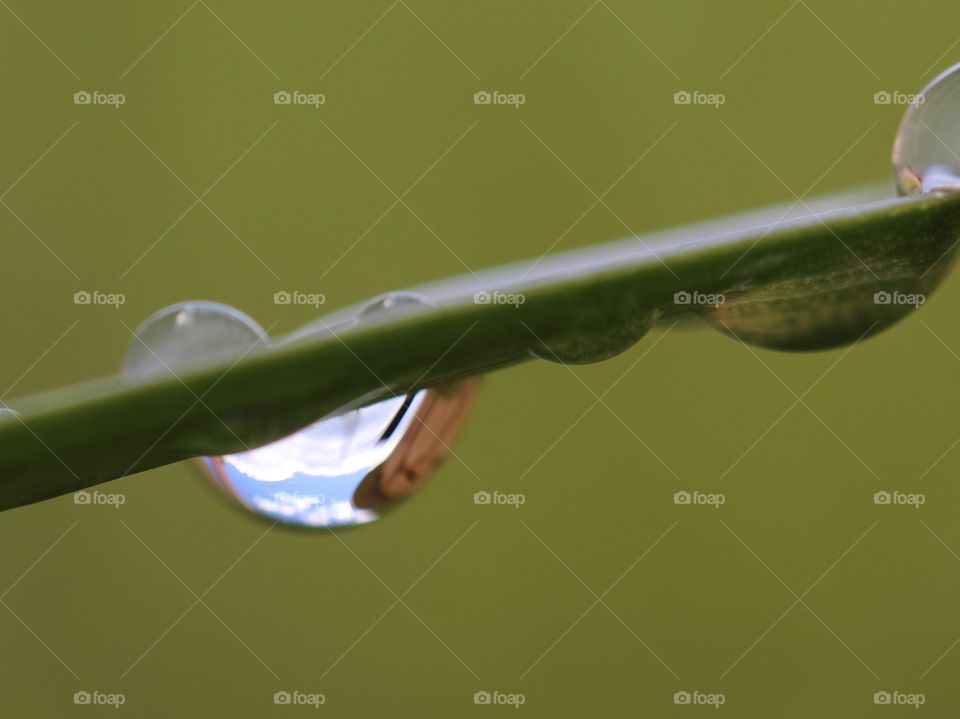 Beautiful raindrop