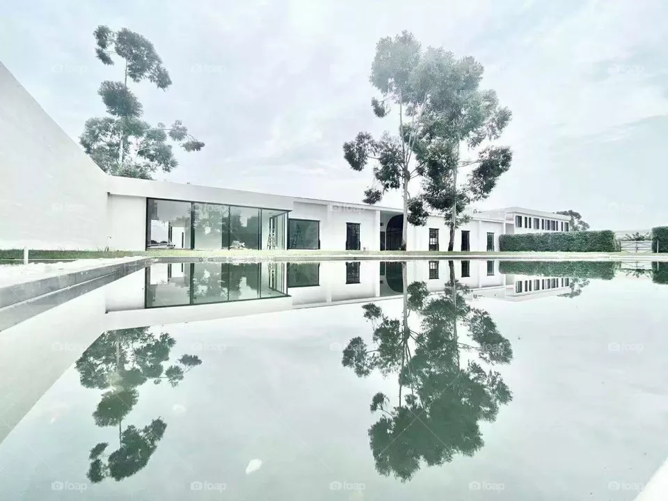 White Buildings