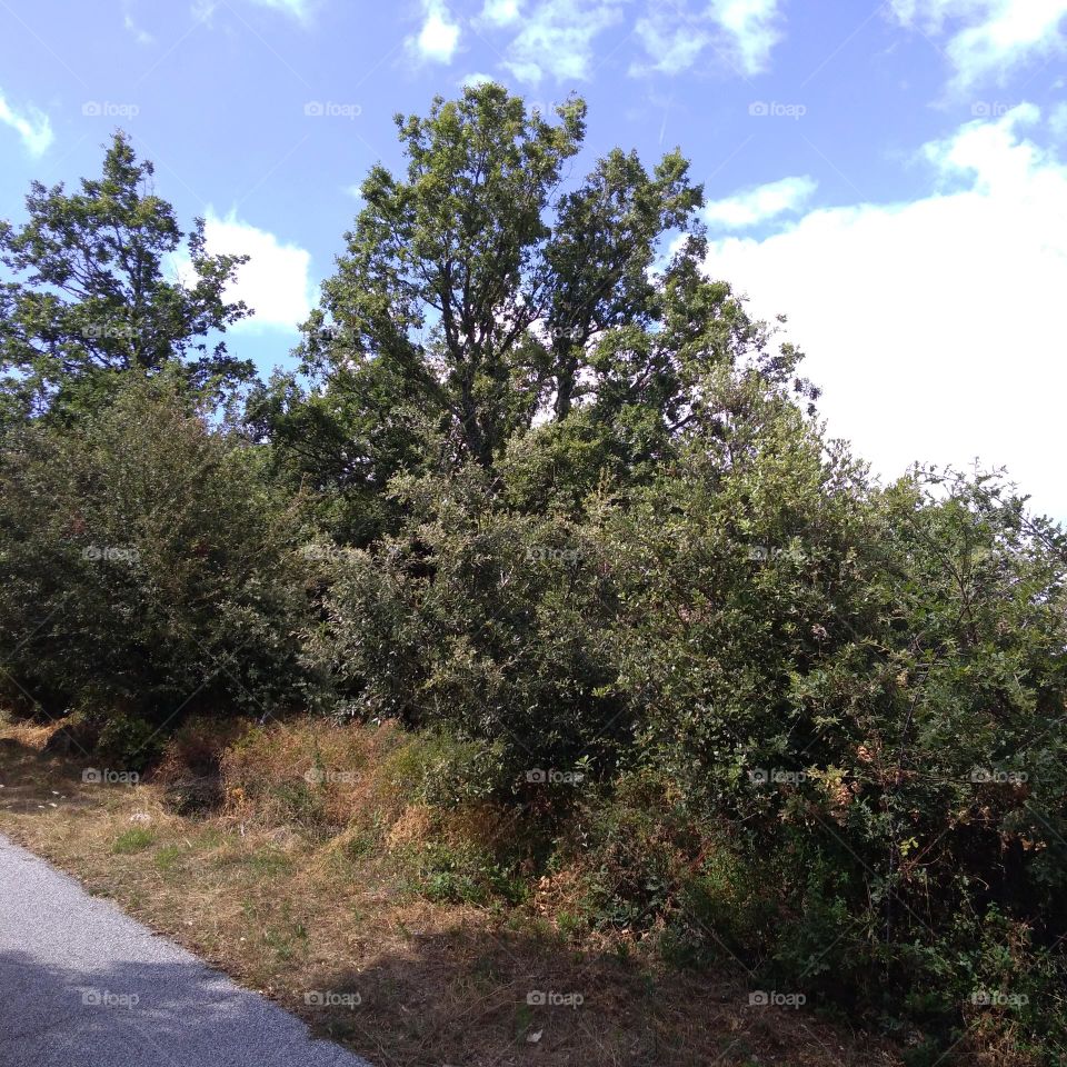 Editors' Choice - Photo of the Week