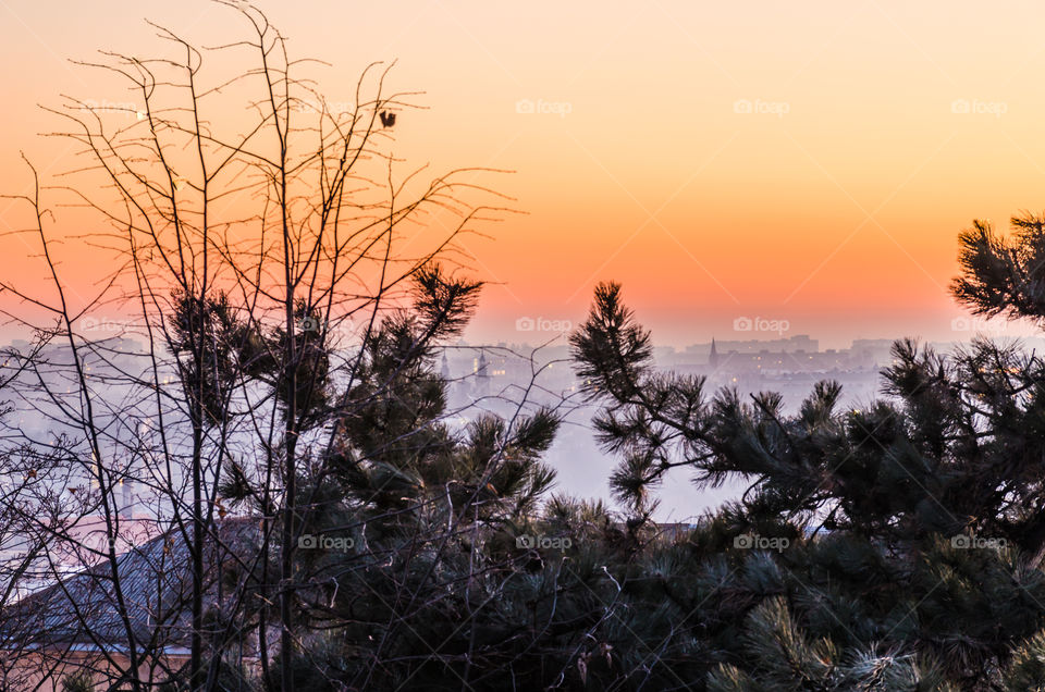 Lviv cityscape during the sunset