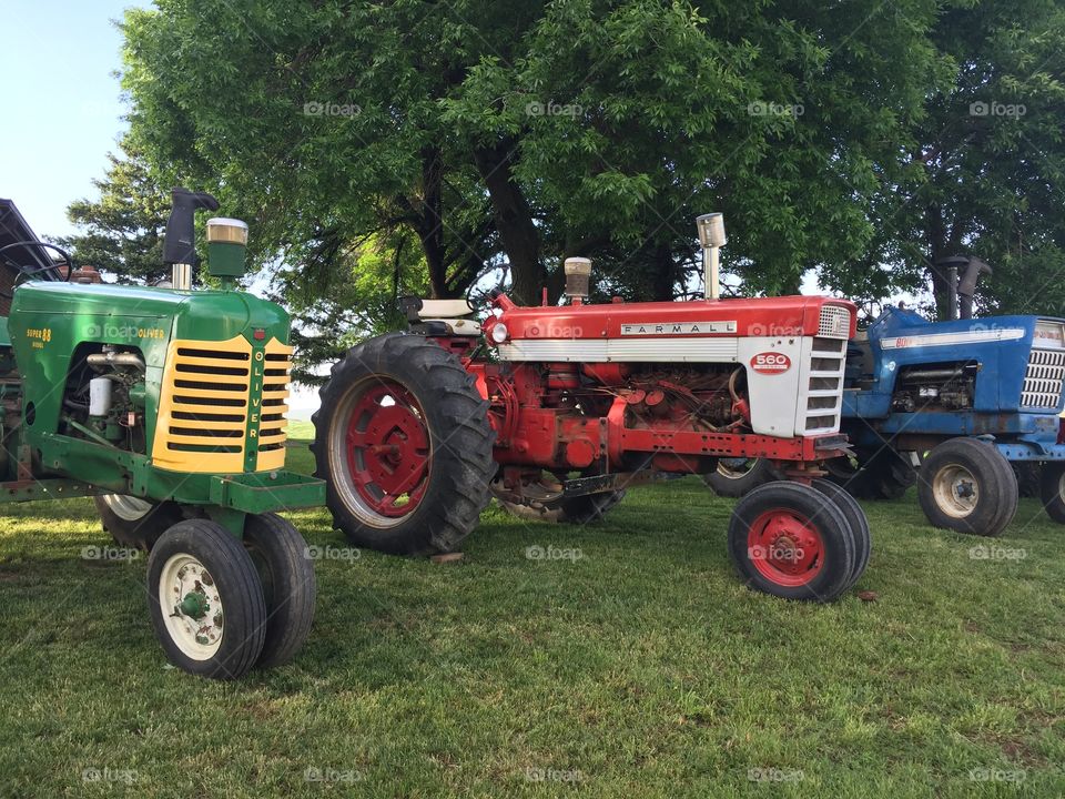A green Oliver tractor, a red International Farmall tractor and a blue Ford tractor lined up on the grass under a shady tree 