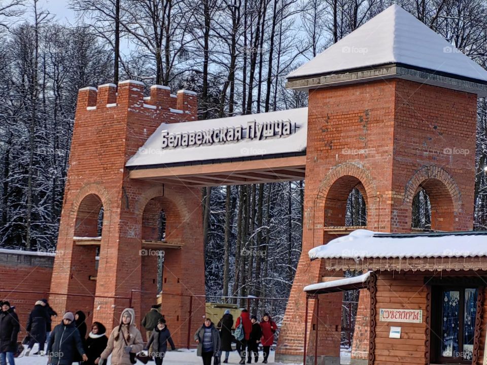 Беловежская пуща