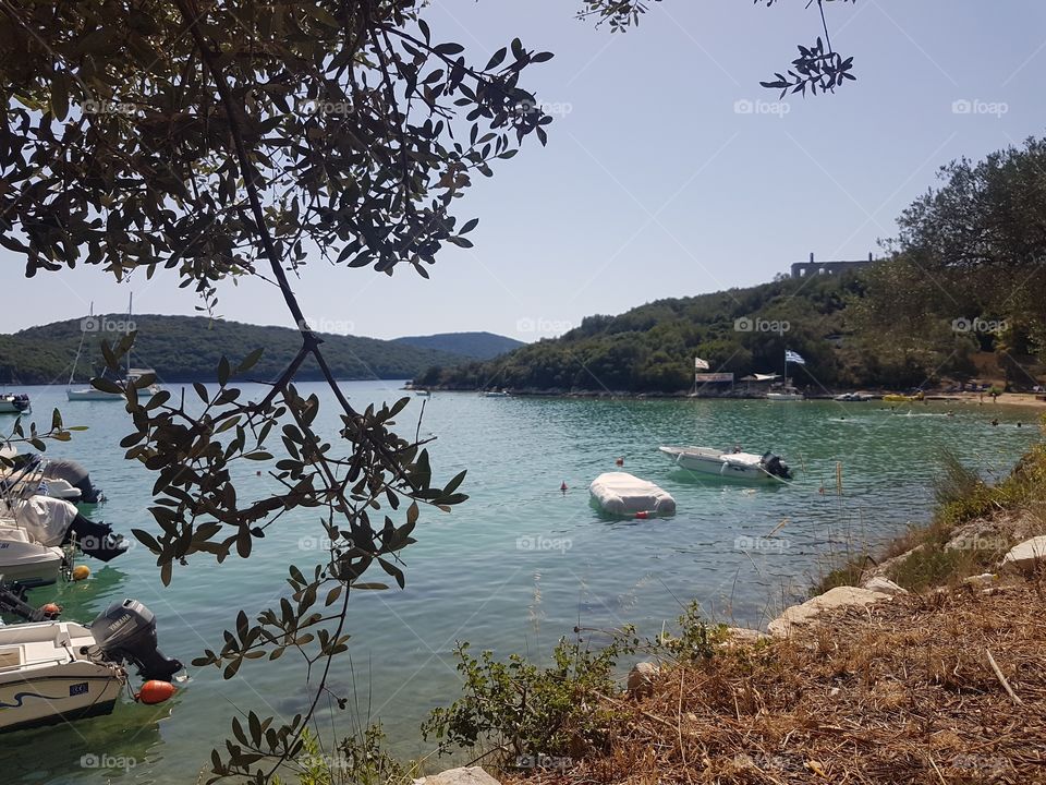 View from the woods to the sea