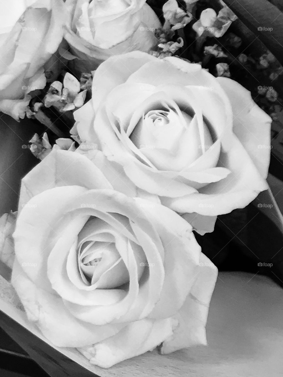 Roses-love-wedding 