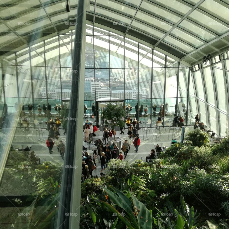 Greenhouse, Conservatory, Business, Indoors, Glass Items