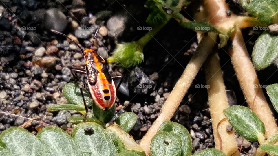Sun bathing after get lunch