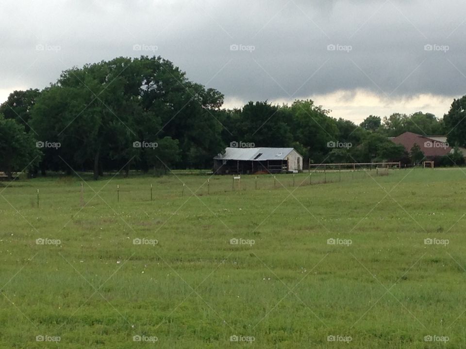 Farmscape. Farm with an old barn