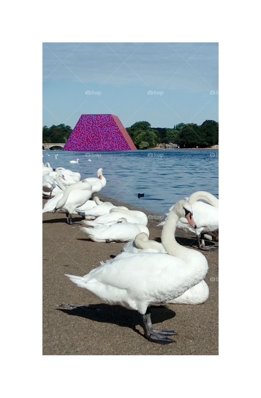 London Serpentines lake