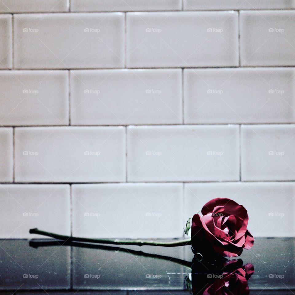 Single rose on counter giving a feeling of loneliness and sadness, but could also represent love 