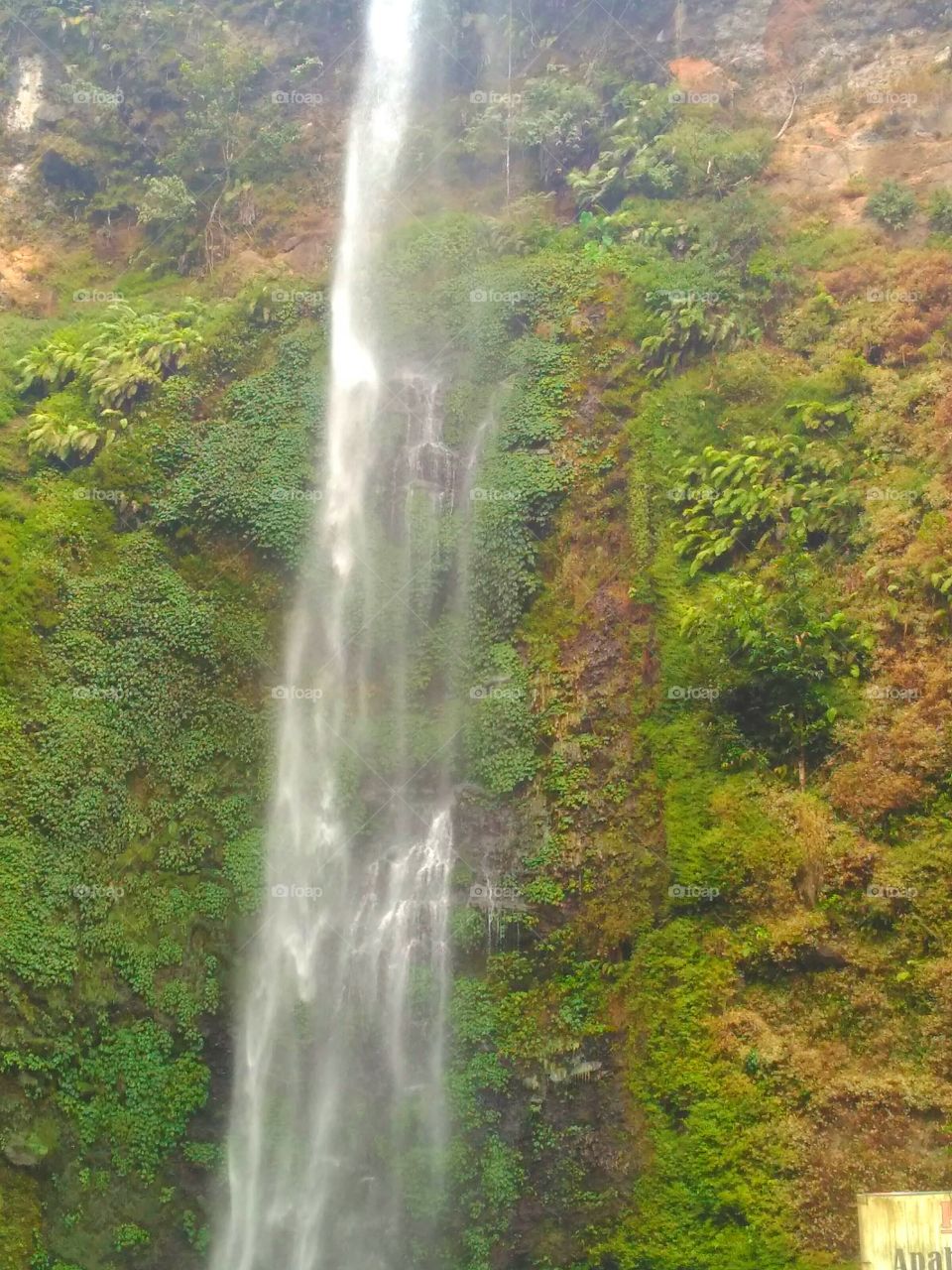 water that always plunge down looking for a low place