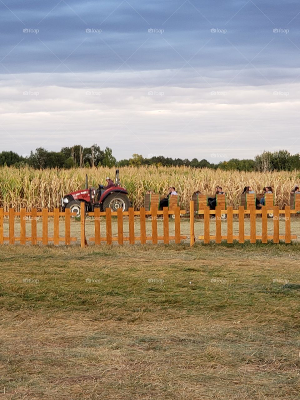 tractor ride in pumkin patch