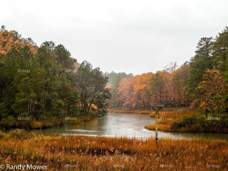 VA aquarium & wetlands