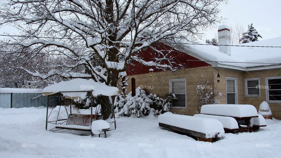 Yard in winter