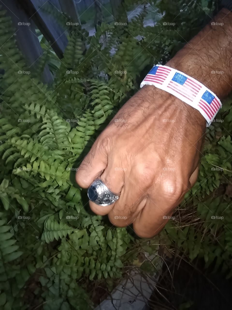 Patriotic Flags For Veterans Day!