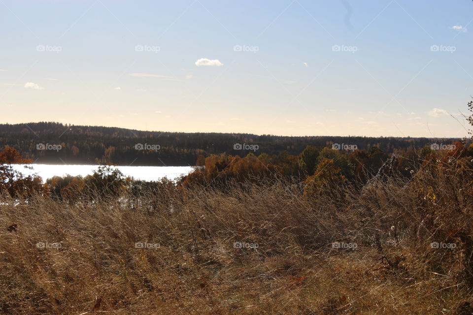 View from hill by lake