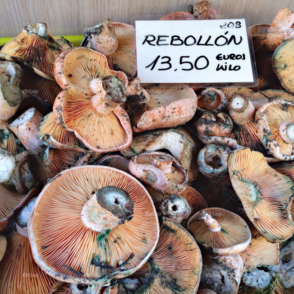 Rebollon Mushrooms 