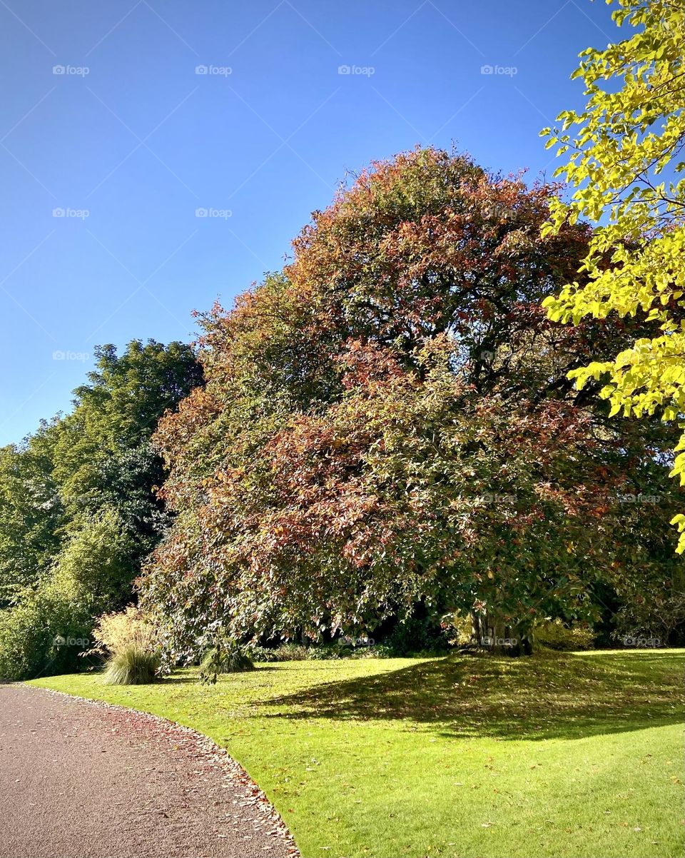 Park , Scotland October 2022 . 