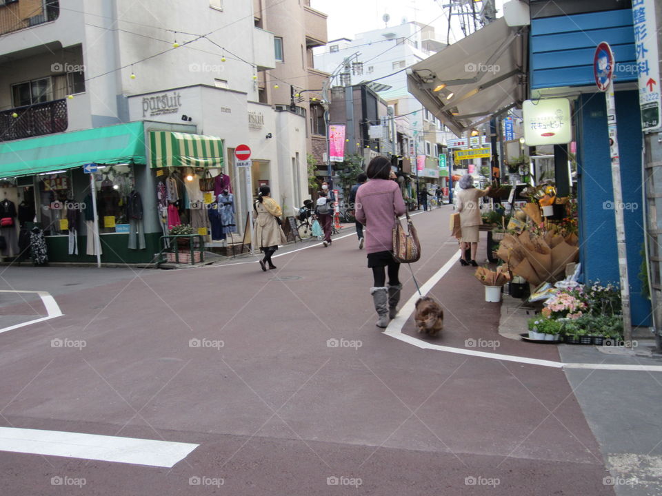 Women Shopping and Strolling in Nakameguro, Tokyo, Japan