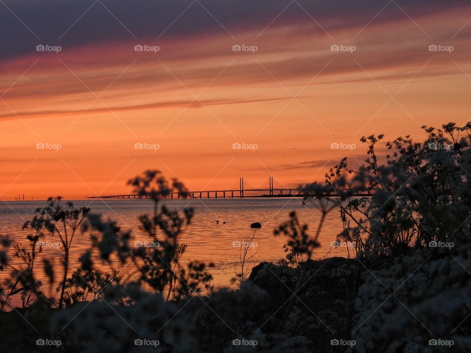 Sunset view of bridge
