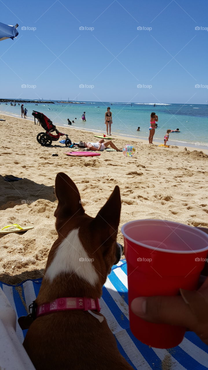 Beach Day with Lily