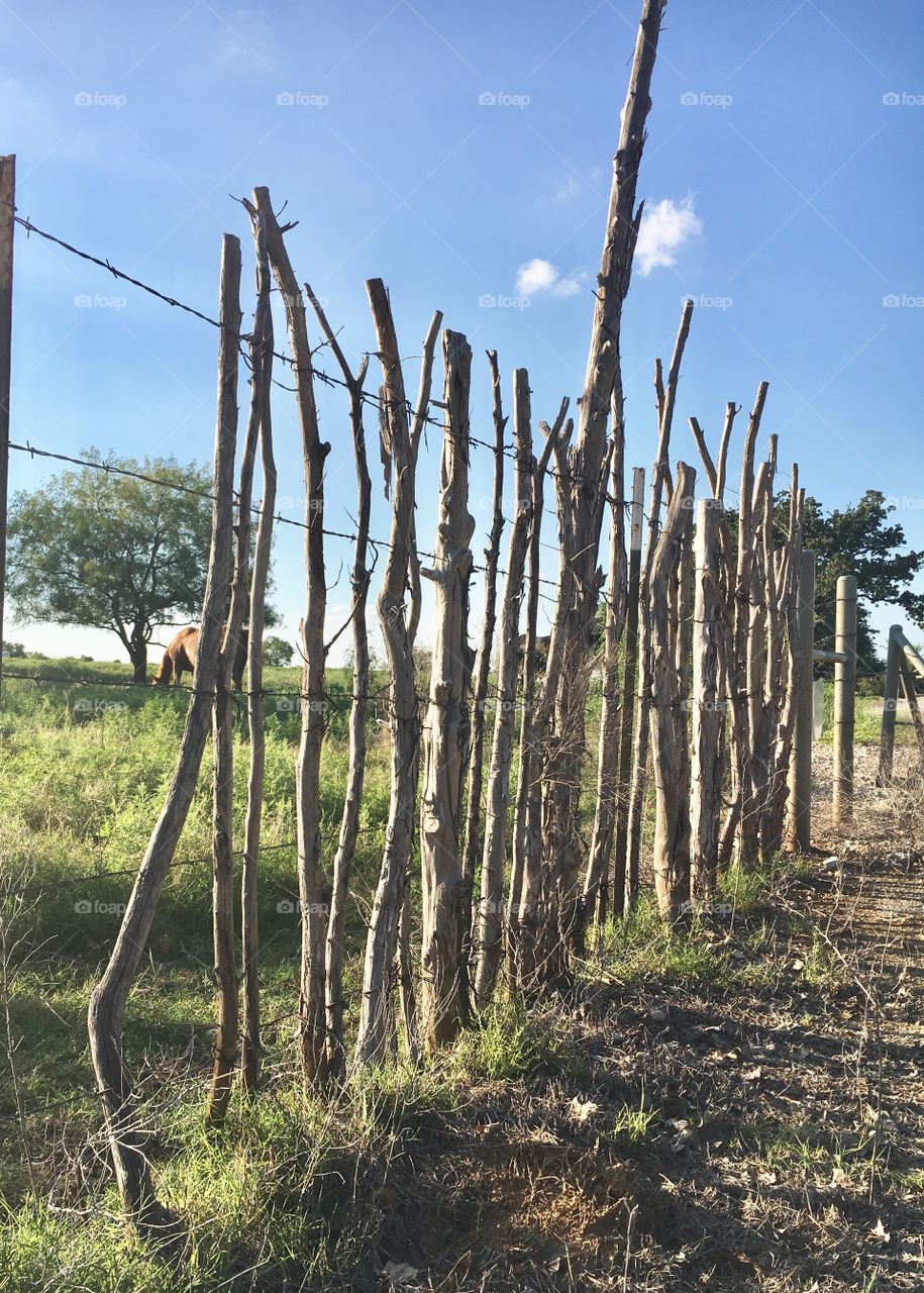 Cedar stay fence. 