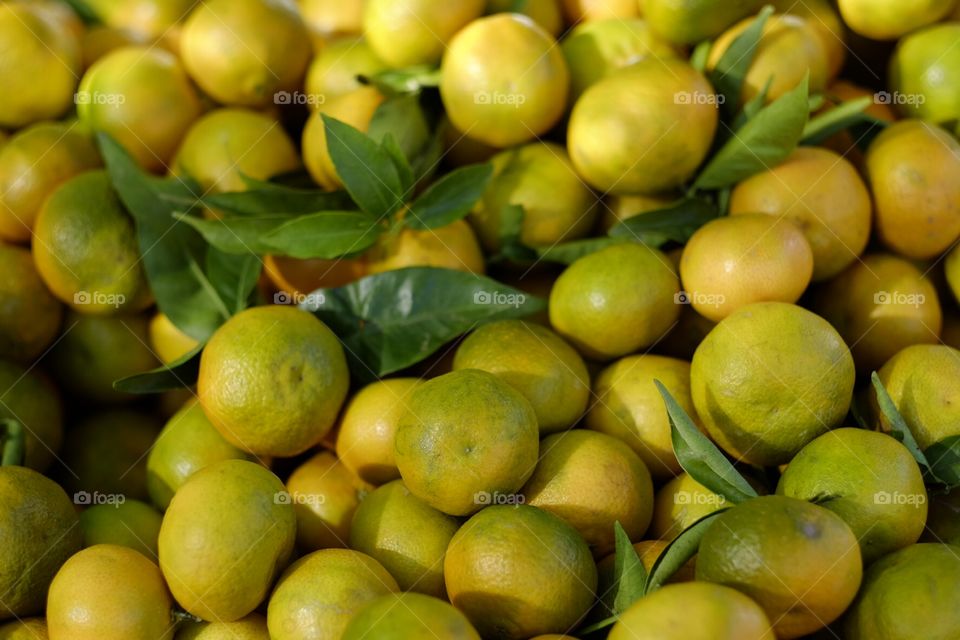 Lemons fresh and natural 
