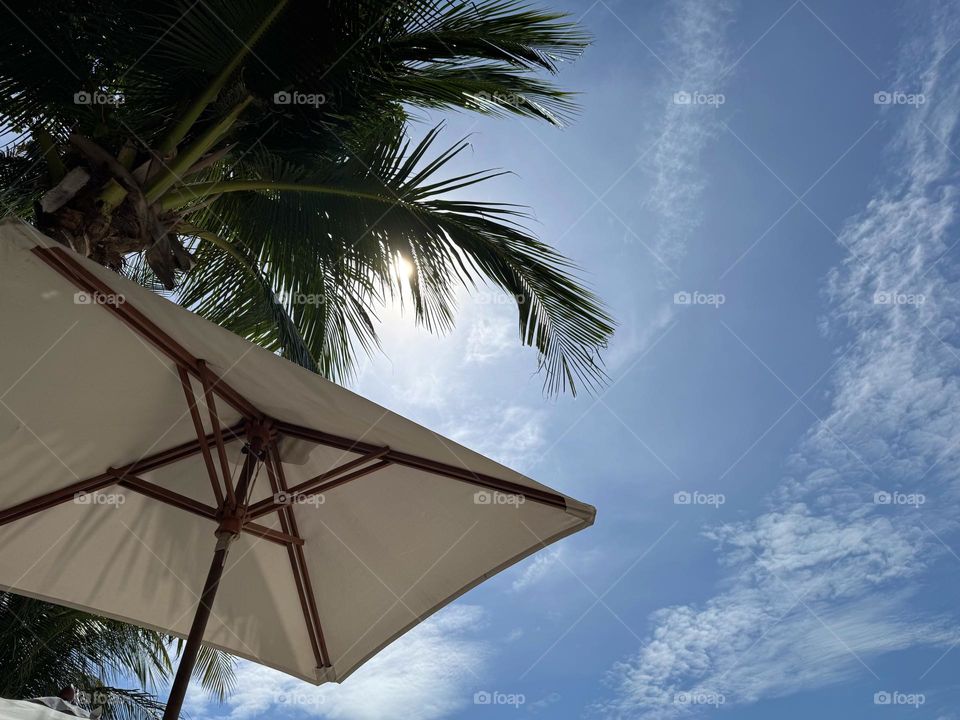 Luxurious beach umbrella under palm trees in day sunlight 