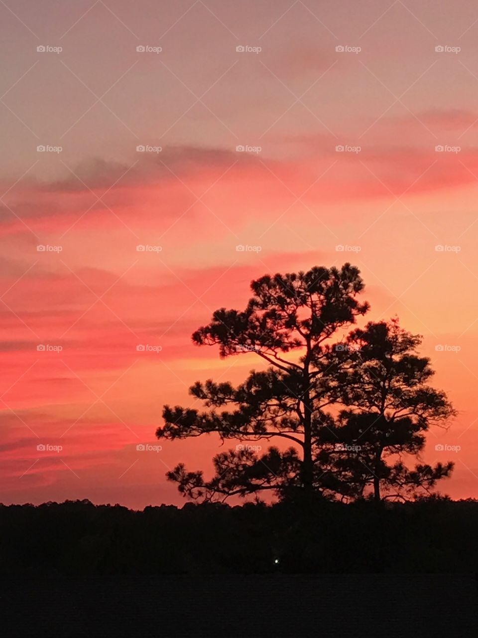 Beautiful sunset in Florida before the storm.