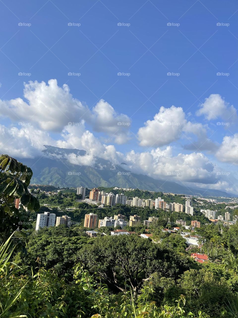 Verano en Caracas