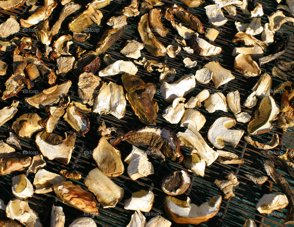 Drying mushrooms