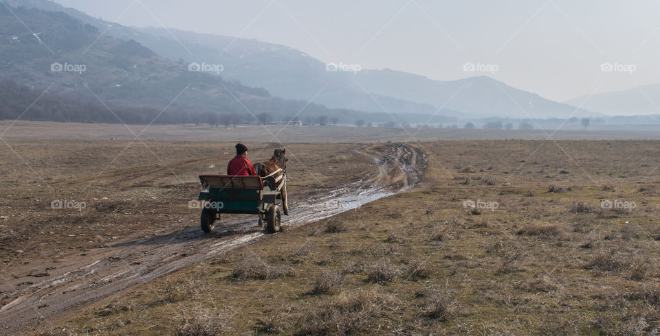 Man in a gig drawn by horse on country road with fog and mountains landscape