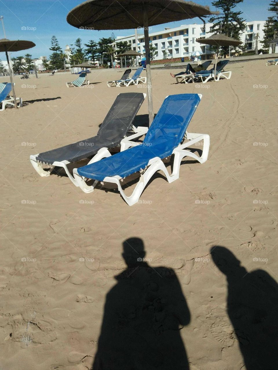 Beautiful seat at the beach in essaouira city in Morocco