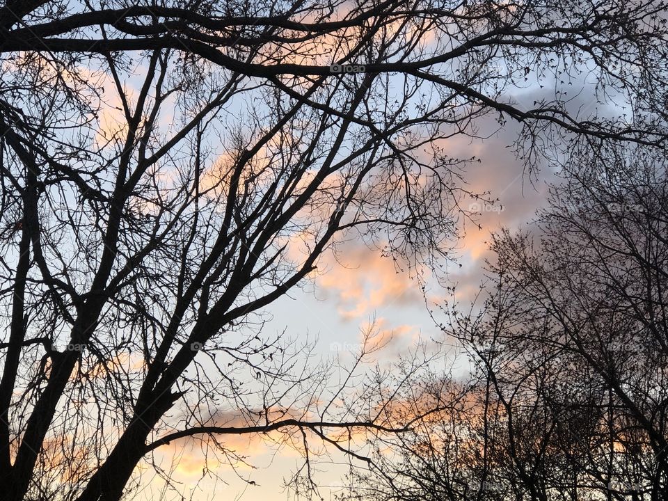 Spring evening sky