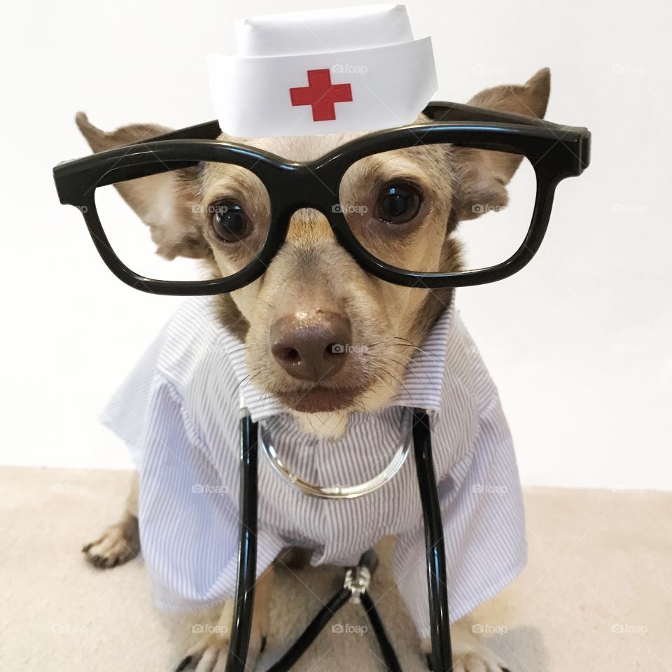 I’m Dr. Ollie at your service 