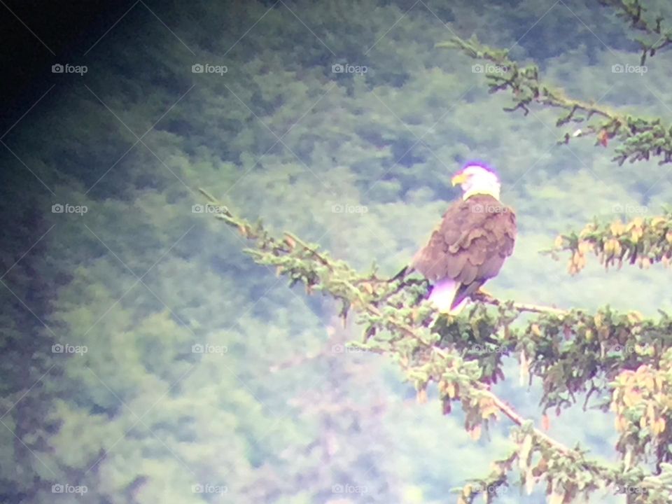 Birdseye view through a telescope in Alaska