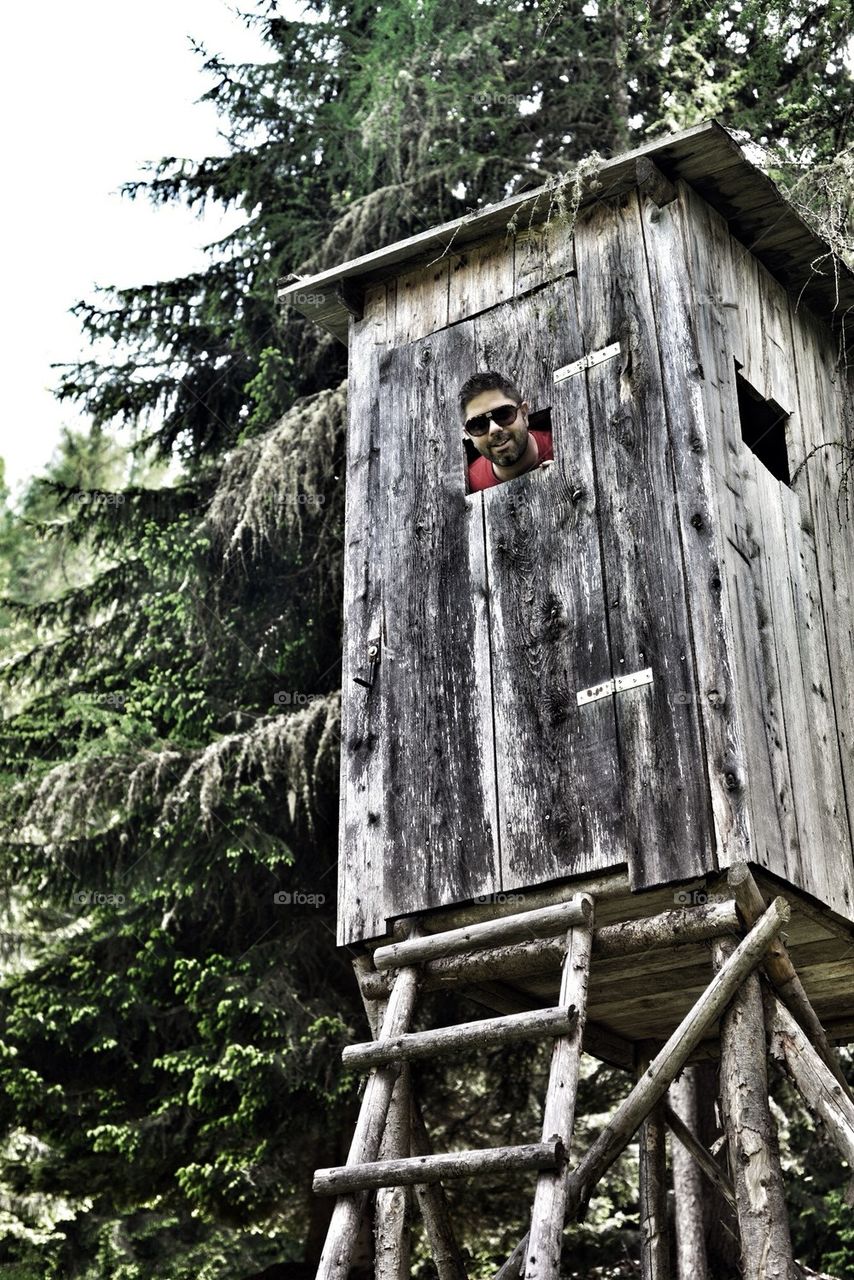 Looking Down the Deer Stand