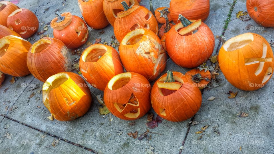 Discarded pumpkins