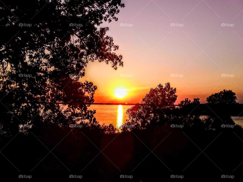 Gorgeous Sunset Through the Trees "In the Middle"